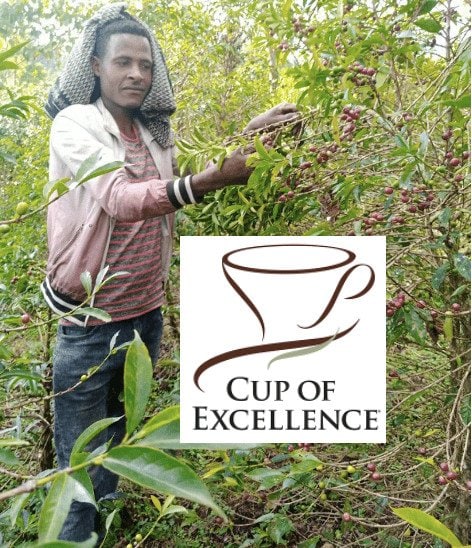 Screenshot 2024-08-15 at 23.20.16 ETHIOPIA - Sidamo Dawencho Natural - Image 3