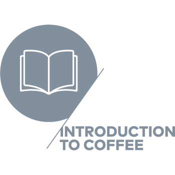 CSP-icons-v2.1-artwork-Introduction-_grey_1k CSP-icons-v2.1-artwork-Introduction-_grey_1k